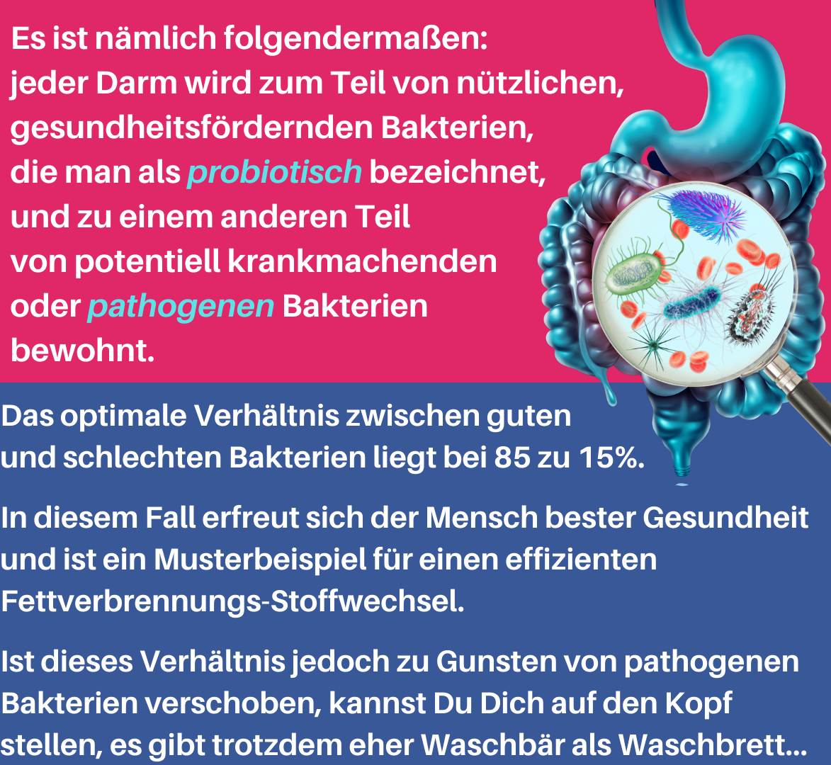 Erreiche mithilfe der Darmbakterien dein Optimal-Gewicht und behalte es für immer. Hole dir deine BODY2MAGIC-Methode